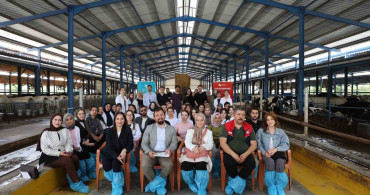 Bilim Toplumu Buluşturuyor: Hayvancılık ve Buzağılar