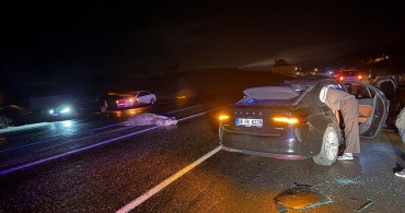 Bingöl'de Ata Çarpan Otomobil Kazasında 4 Yaralı