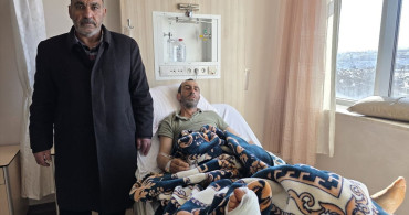 Bingöl'de Domuz Saldırısı: Bir Kişi Yaralandı