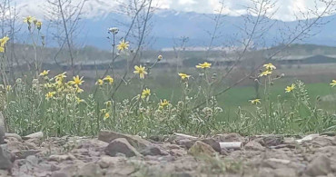 Bingöl'de İki Mevsim Bir Arada