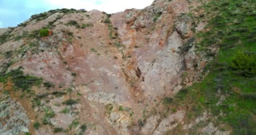 Bingöl'de Kartalın Anne Ayıya Saldırı Girişimi