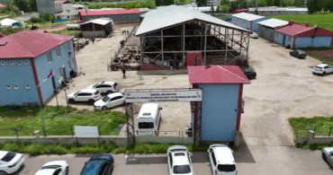 Bingöl'de Kurban Pazarında Yoğunluk Artıyor