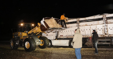 Bingöl'de Mahsur Kalan Hayvanlara Saman Desteği