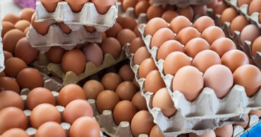 Bir koli yumurta kaç lira? Yumurtaya zam geldi! İşte yeni zam sonrası bir adet yumurta fiyatı