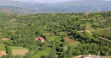 Bitlis Hizan yaban hayatıyla öne çıkıyor