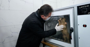 Bitlis Valisi Karakaya'nın Sokak Hayvanları Bakımevi Ziyareti