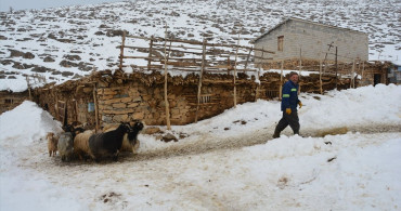 Bitlis'te Besicilerin Kış Mesaisi Zorluklarla Dolu