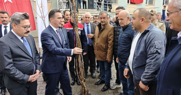 Bitlis'te Çiftçilere Sertifikalı Ceviz Fidanı Dağıtımı
