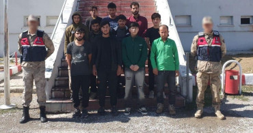 Bitlis'te Düzensiz Göçmen Operasyonu