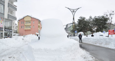 Bitlis'te Kar Yağışı Hayatı Olumsuz Etkiliyor