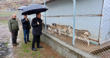 Bitlis'te Sahipsiz Köpeklere Yeni Bir Yaşam Alanı