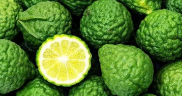 Böbrek Taşını Düşürmeye Yardımcı!
