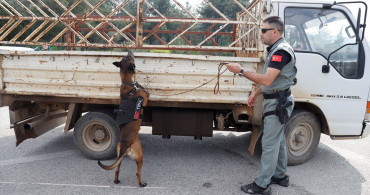 Bodrum'a Giriş Yapan Araç Sayısı 25 Bini Aştı