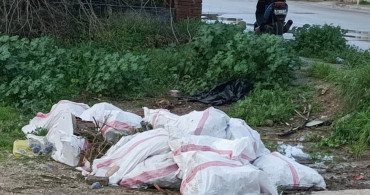 Bodrum'da Atık Dökme Cezası: 50 Bin Lira