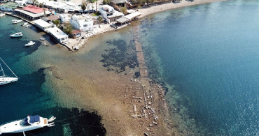 Bodrum'da Denizin Çekilmesiyle Tarihi Surlar Gün Yüzüne Çıktı