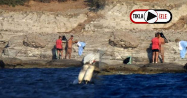 Bodrum'da Gündüz Vakti Bir Grup Erkek Akşama Kadar Çırılçıplak Yüzüp, İlişkiye Girdi