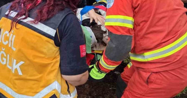 Bodrum'da Kontrolden Çıkan Otomobil Ormanlık Alana Uçtu