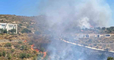 Bodrum'da makilik alanda yangın çıktı