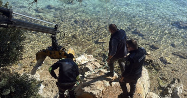 Bodrum'da Ölü Caretta Caretta Bulundu