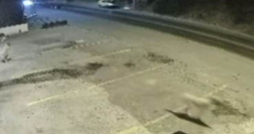 Bodrum'daki ölümlü kazanın güvenlik kamerası görüntüleri ortaya çıktı
