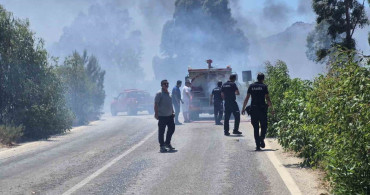 Bodrum'daki şantiyede yangın makilik alana sıçradı