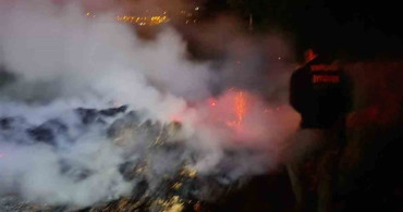 Bolu'da Anız Yangını Kontrol Altına Alındı