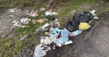 Bolu'da Çevre Bilinci İhlali: 'Çöp Atmayın' Tabelasının Yanı Çöple Dolduruldu