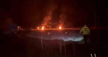 Bolu'da Çiftçiler Meyve Ağaçlarını Koruyor