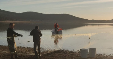 Bolu'da Kaçak Avcılıkla Mücadele: 500 Balık Kurtarıldı