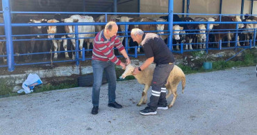 Bolu’da Kurban Bayramı Coşkusu