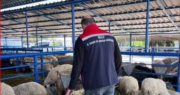 Bolu'da Kurban Pazarlarına Denetim Uygulandı