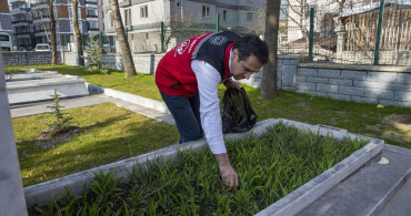 Bolu'da Şehit Mezarlarının Bakımı Bayram Öncesi Gerçekleştirildi