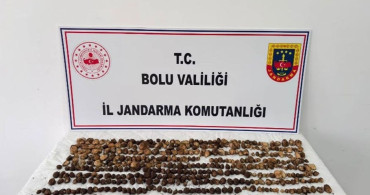 Bolu’da yasak yabani salep toplayan üç kişiye büyük ceza verildi
