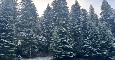 Bolu'nun Yüksek Kesimlerine Kar Yağışı