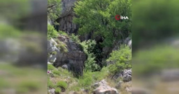 Bosna Hersek'te II. Dünya Savaşı'na Ait 730'da Fazla Mühimmat Keşfedildi