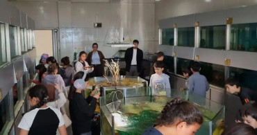 Boyabatlı Öğrenciler Sinop'un Zenginliklerini Keşfettiler