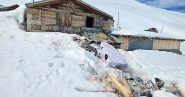 Boz Ayı Trovit Yaylası'nda Yayla Evlerine Zarar Verdi