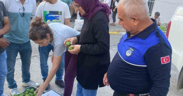 Bozdoğan'da hastalıklı ilekler imha edildi