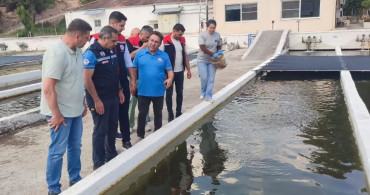 Bozdoğan'da su ürünleri üretimi 3 bin 696 tona ulaştı