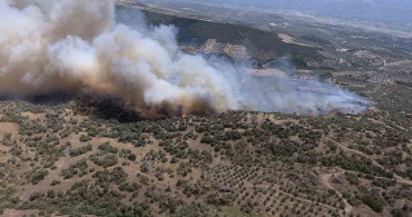 Bozdoğan'da ziraat alanında yangın başladı