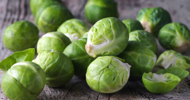  Brüksel lahanasının faydaları nelerdir, hangi vitaminleri içerir, neye iyi gelir? Vitamin deposu zeytinyağlı Brüksel lahanası tarifi