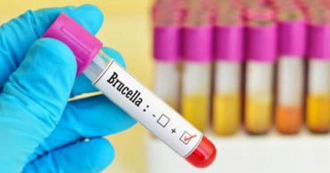 Brusella Salgını İçin Tazminat