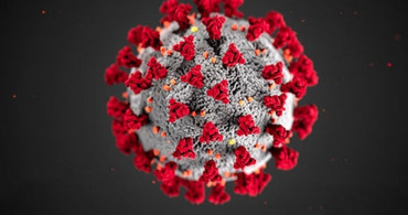 Bu Seferde Hindistan'da Salgın Patlak Verdi! Zika Virüsü Yayılıyor