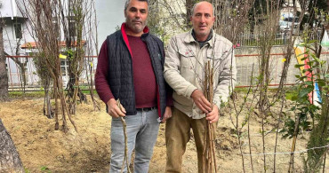 Buldan'da Fidan Dikim Sezonu Başladı