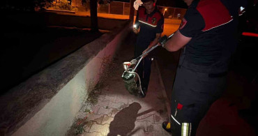 Burdur'da caminin yanında bulunan yılan doğal yaşam alanına salındı