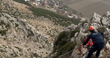 Burdur'da Dağda Mahsur Kalan Keçi AFAD Tarafından Kurtarıldı