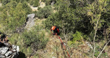 Burdur'da dağda mahsur kalan keçiler kurtarıldı