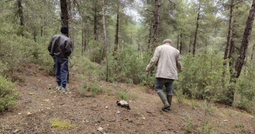 Burdur'da Kuzugöbeği Mantar Sezonu Başladı