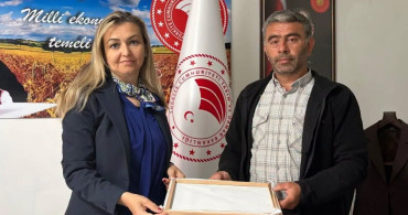 Burhaniye'de ipek böcekçiliğinde ilk kozalar hasat edildi