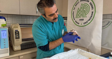 Burhaniye'de Porsuk Yavrusu Koruma Altına Alındı